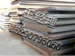 (yng)SA285GrC(bio)䓰 Ї