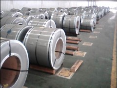 ӲȲP䓾301P䓎304Ƭ0.08mm