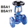 ˹ɯBSA1Tֹy