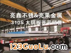 o(w)a310S/06Cr25Ni20P䓰