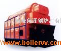 DZL偠t